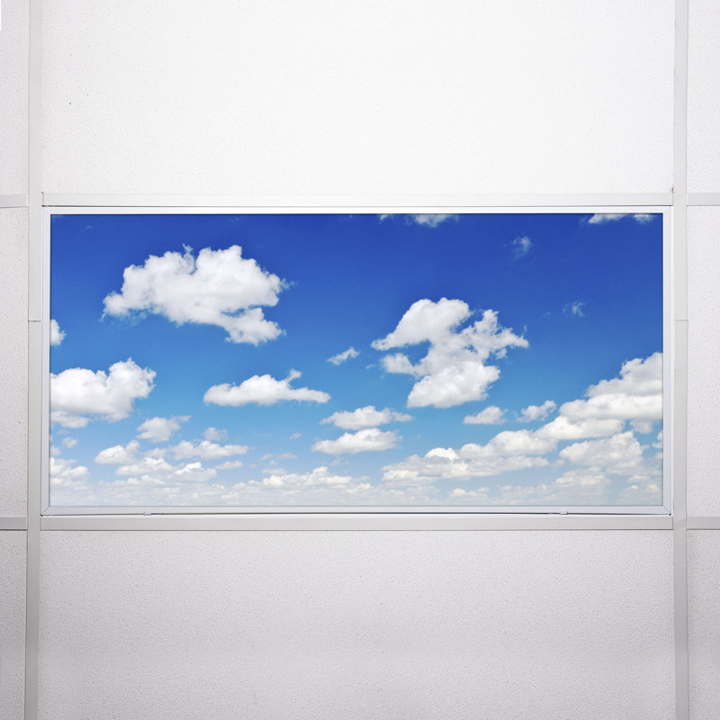 Octo Lights - Fluorescent Light Covers - Flexible Ceiling Light